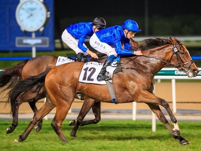 Racing returns to Meydan with a 7 race card by Group Two Image 1