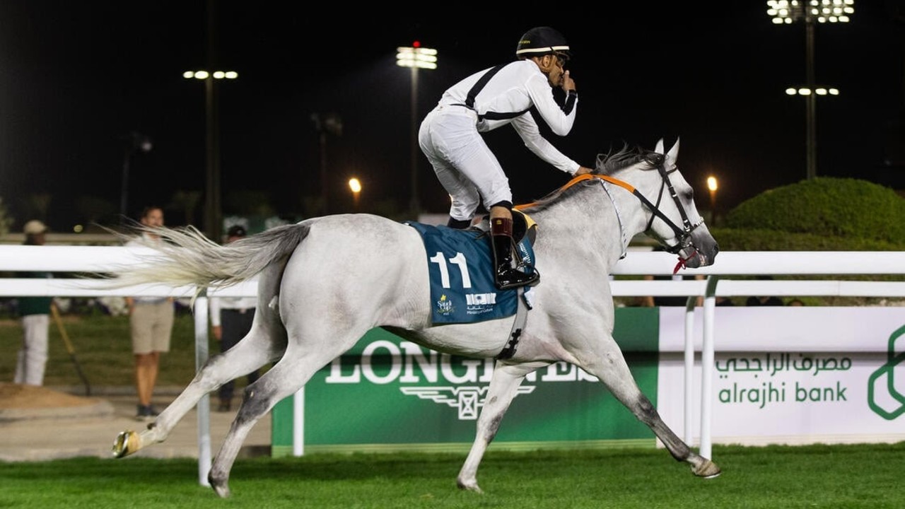 Saudi Cup First Night Impresses As Expected Image 1