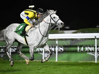 Red Sea Glory For Japan With Australian Lane In Saddle Image 1
