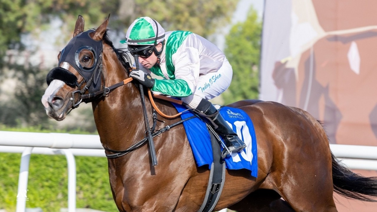 Seemar And O'Shea Have A Sunday Out In Jebel Ali Image 1