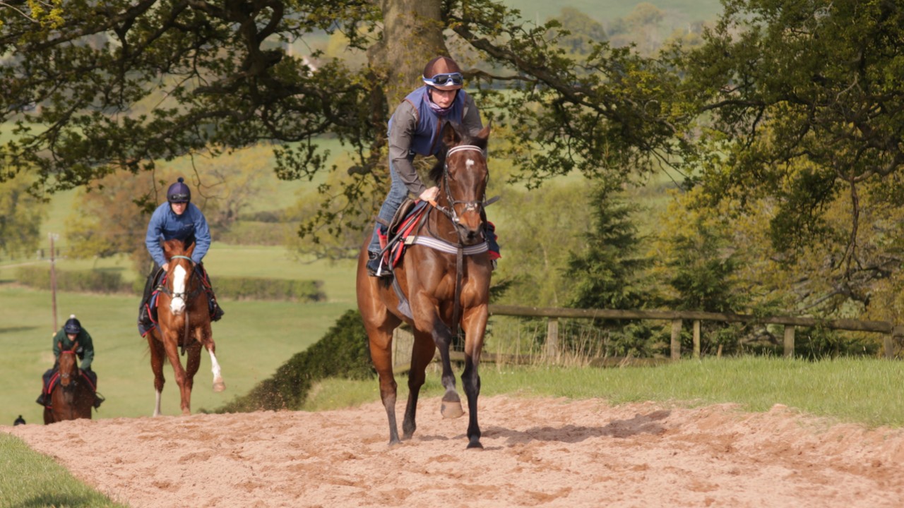 Meydan Calling: Proper Racing With Ian Williams Image 1