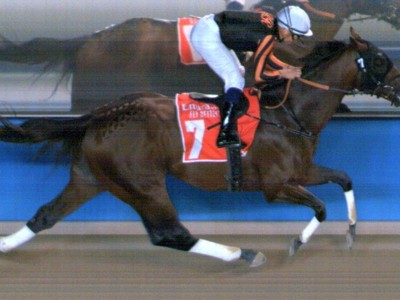Bhupat Claims His Double For The Night With Sound Money Image 1