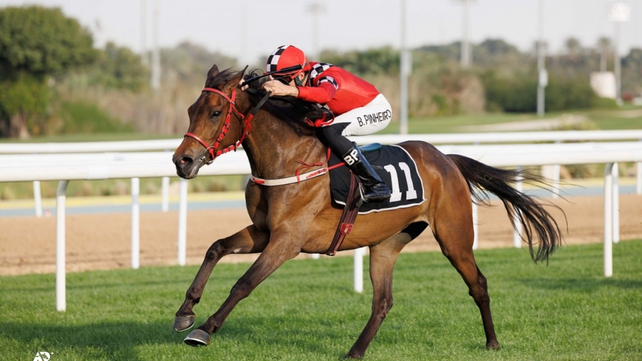 Treble In Abu Dhabi For Newly Named Top Local Jockey Image 1