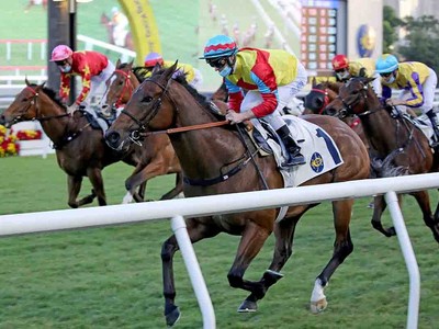 Richard Gibson praises mafoo as Wellington makes triumphant ... Image 1