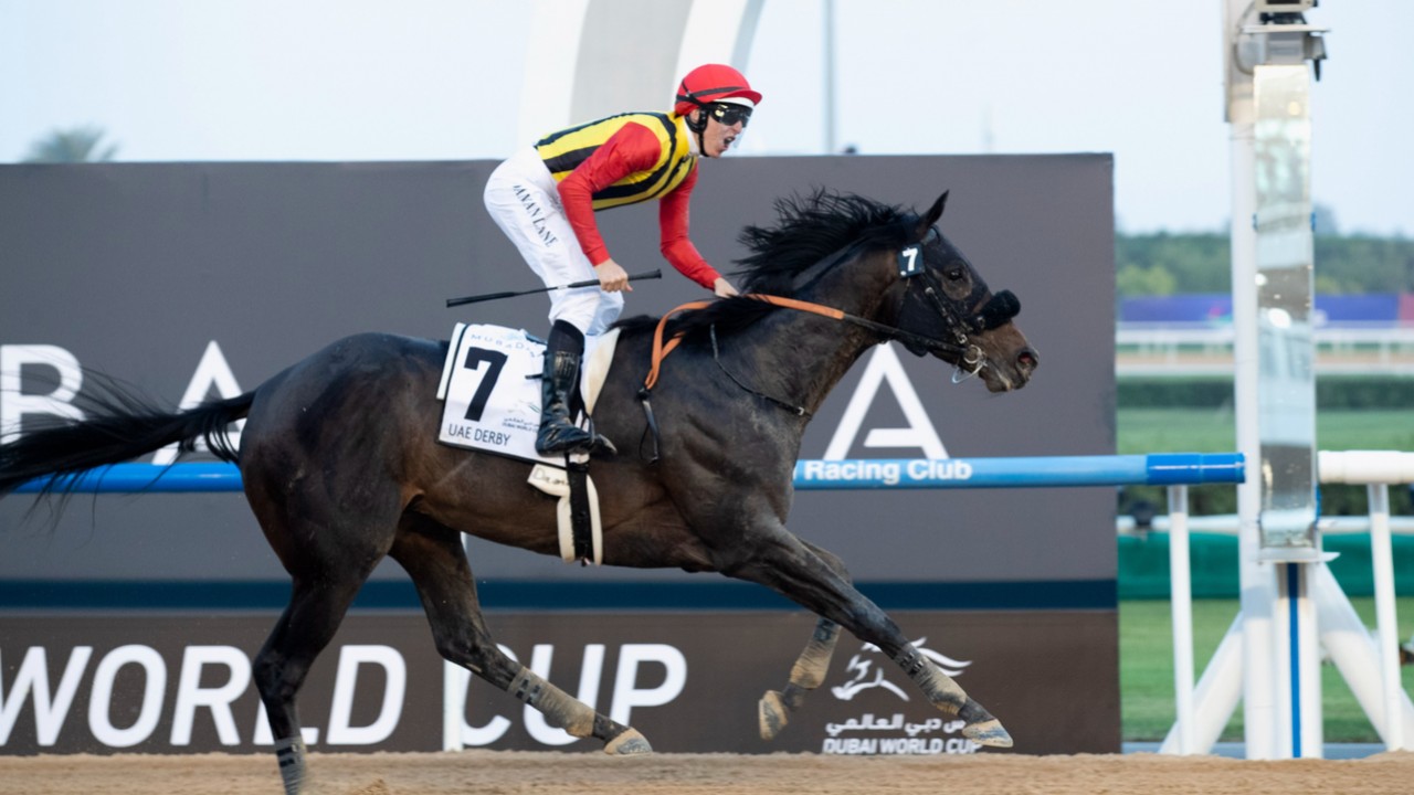 Japan’s Crown Pride Heads To Meydan For The Dubai World Cup Image 1