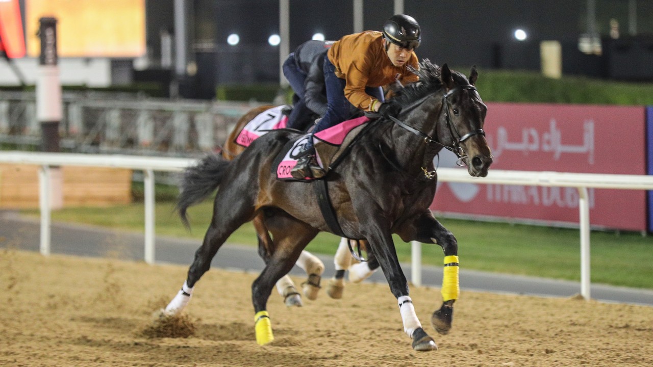 Japan’s Crown Pride Heads To Meydan For The Dubai World Cup Image 2