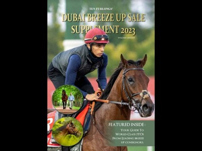 Dubai Breeze Up Sale Supplement 2023 Image 1