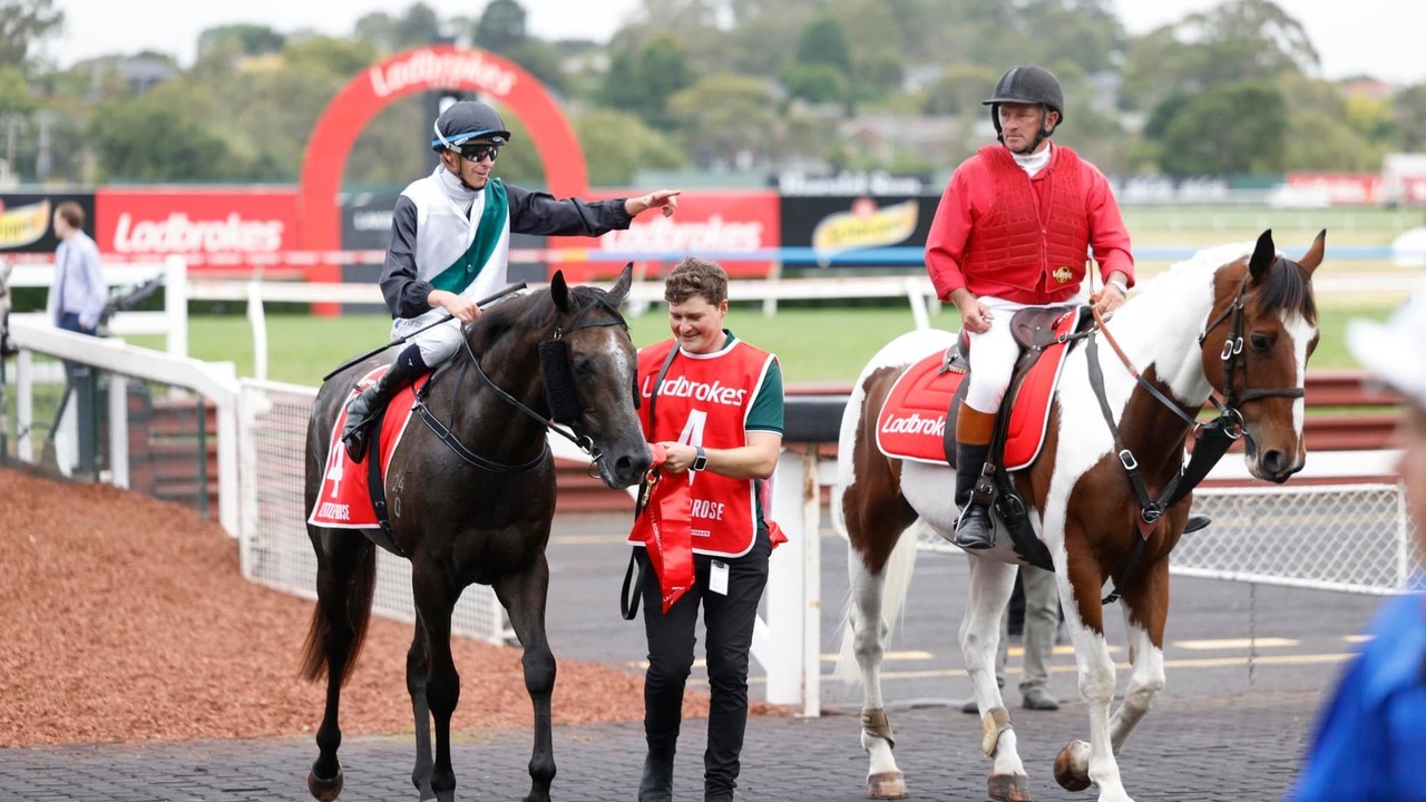Two Year Olds To Shine In Golden Contest Down Under Image 1