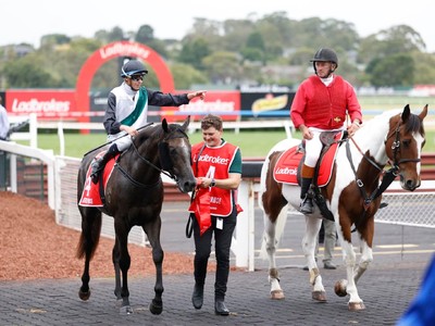 Two Year Olds To Shine In Golden Contest Down Under Image 1