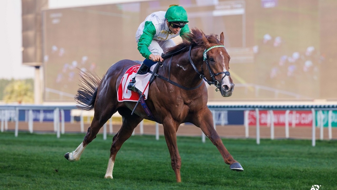 Al Quoz To Run With Competitive Quality Field Of Speed Image 1