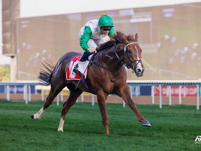Al Quoz To Run With Competitive Quality Field Of Speed