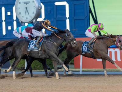 Japan Secures First Win On Dubai World Cup Night With Gr.1 ... Image 1