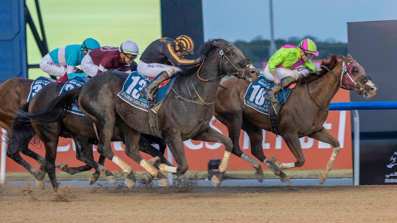 Review: Japan Secures First Win On Dubai World Cup Night ... Image 2