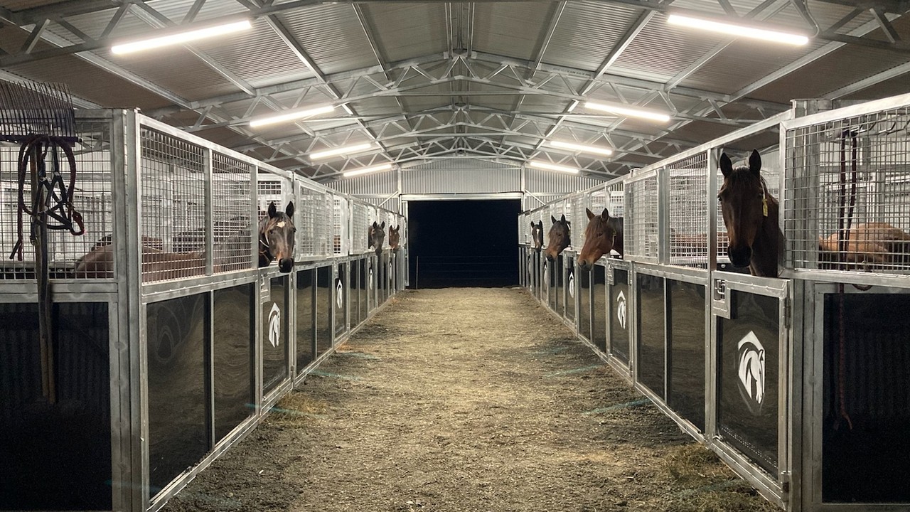 Portable Horse Stables Image 2