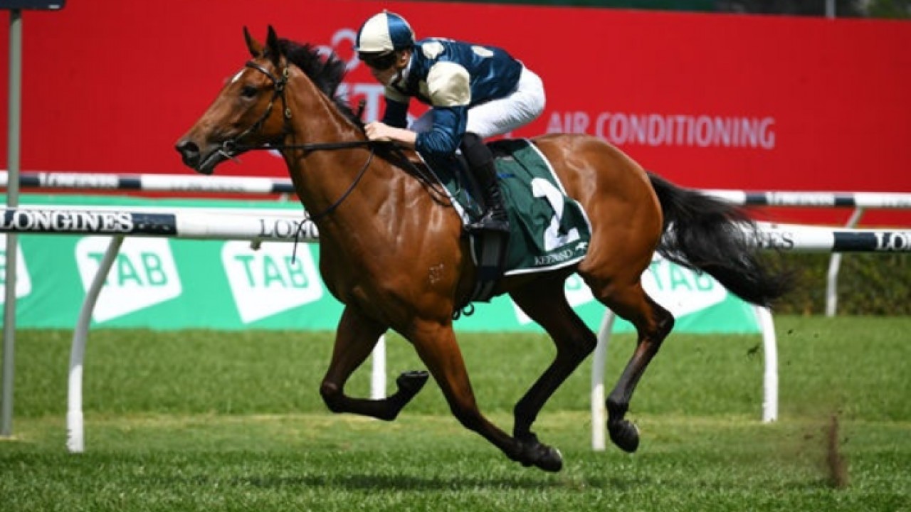 Australian Raiders To Watch At Royal Ascot Image 1