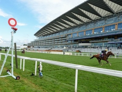 Royal Ascot's Newest Contender Image 1