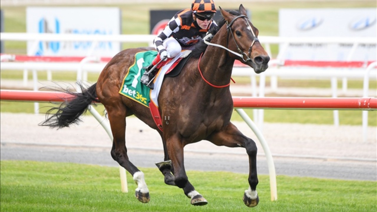 Astrologist's Ascot Ambitions Image 1