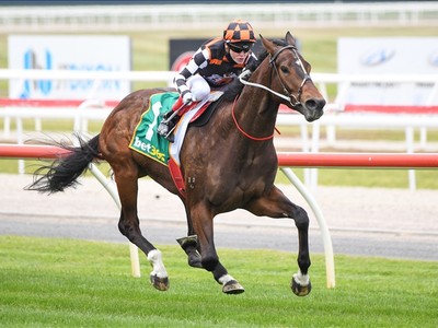 Astrologist's Ascot Ambitions Image 1