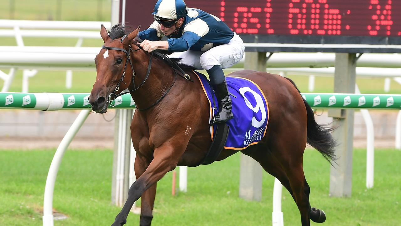 Coolangatta: The Filly Ready To Conquer Royal Ascot Image 1