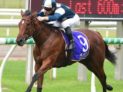 Coolangatta: The Filly Ready To Conquer Royal Ascot Image 1