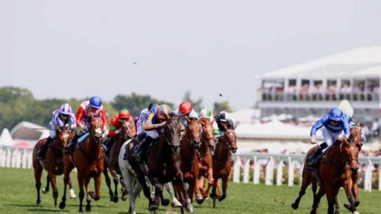 Coronation Stakes No-Show: Mawj's Recovery Regimen Image 1