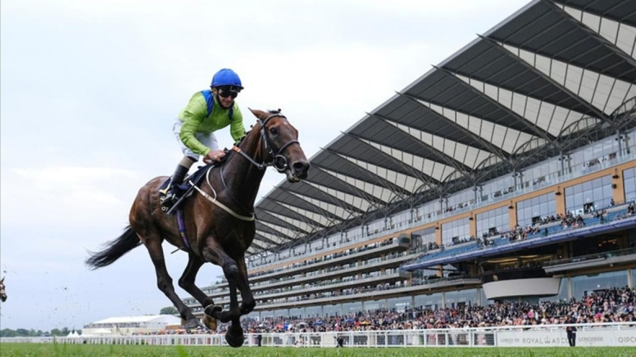 Subjectivist's Redemption: Ascot Gold Cup Image 1