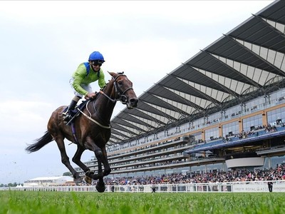 Subjectivist's Redemption: Ascot Gold Cup Image 1