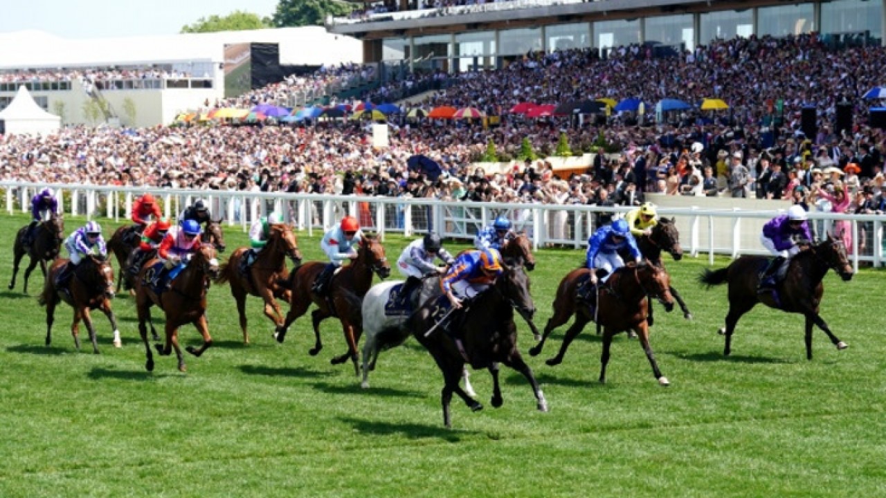 Tahiyra Takes The Crown: 2023 Coronation Stakes Image 1