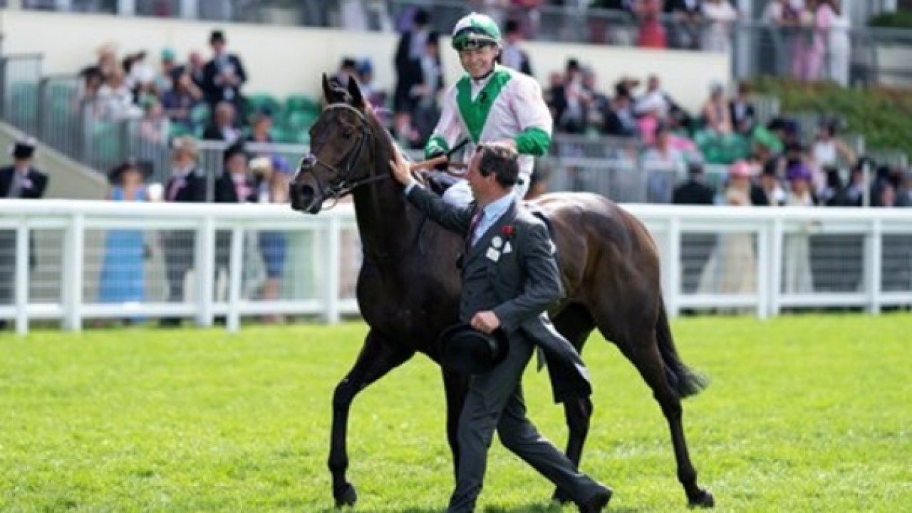 Longest-Priced Winner At Royal Ascot Image 1