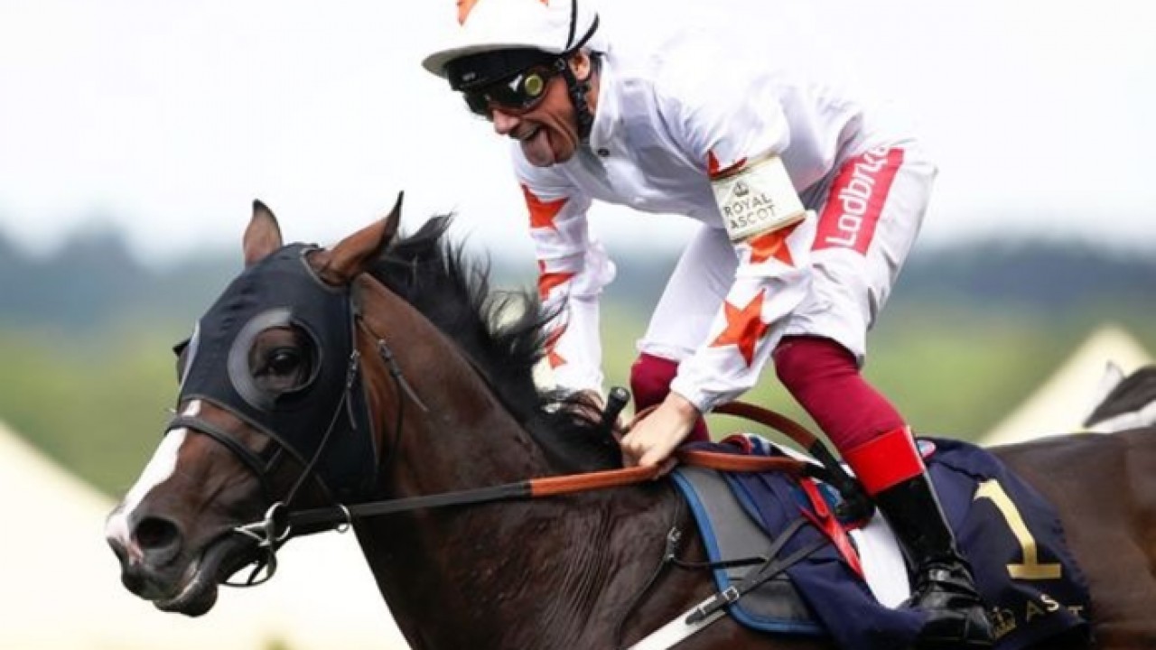 Melbourne Cup Beckons: Dettori's Farewell Image 1