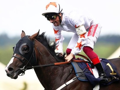 Melbourne Cup Beckons: Dettori's Farewell Image 1