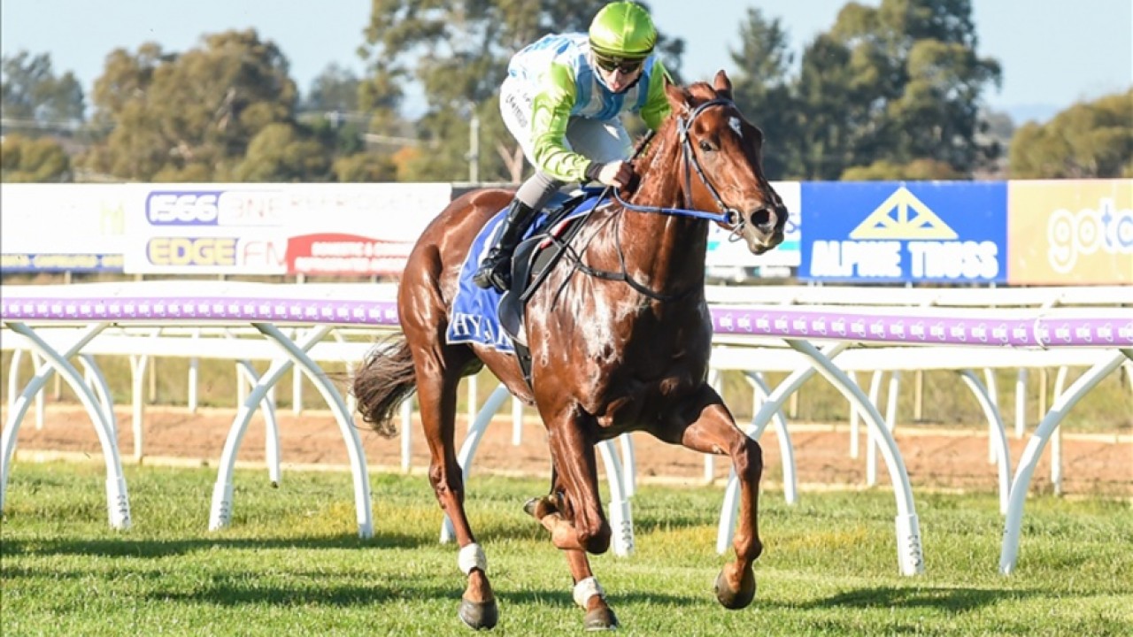 Speed Meets Skill: Kosciuszko Champion Joins Forces With ... Image 1