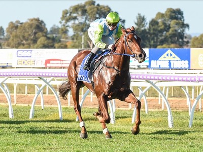 Speed Meets Skill: Kosciuszko Champion Joins Forces With ... Image 1