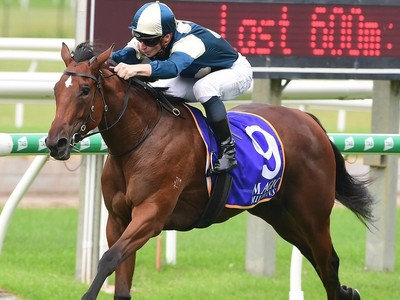 Coolangatta Changes Course After Ascot Image 1