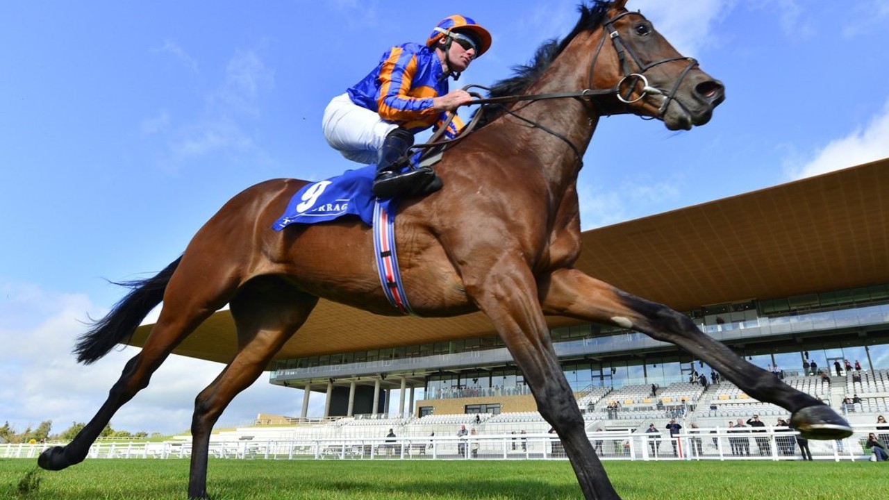 Unleashing The Racing Spectacle: Gr.1 Coral-Eclipse (2023) Image 1