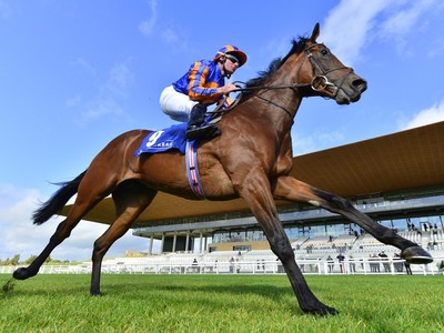 Unleashing The Racing Spectacle: Gr.1 Coral-Eclipse (2023) Image 1