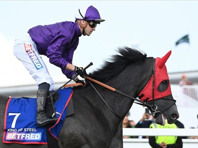 King Of Steel Seeks Ascot Glory Image 1