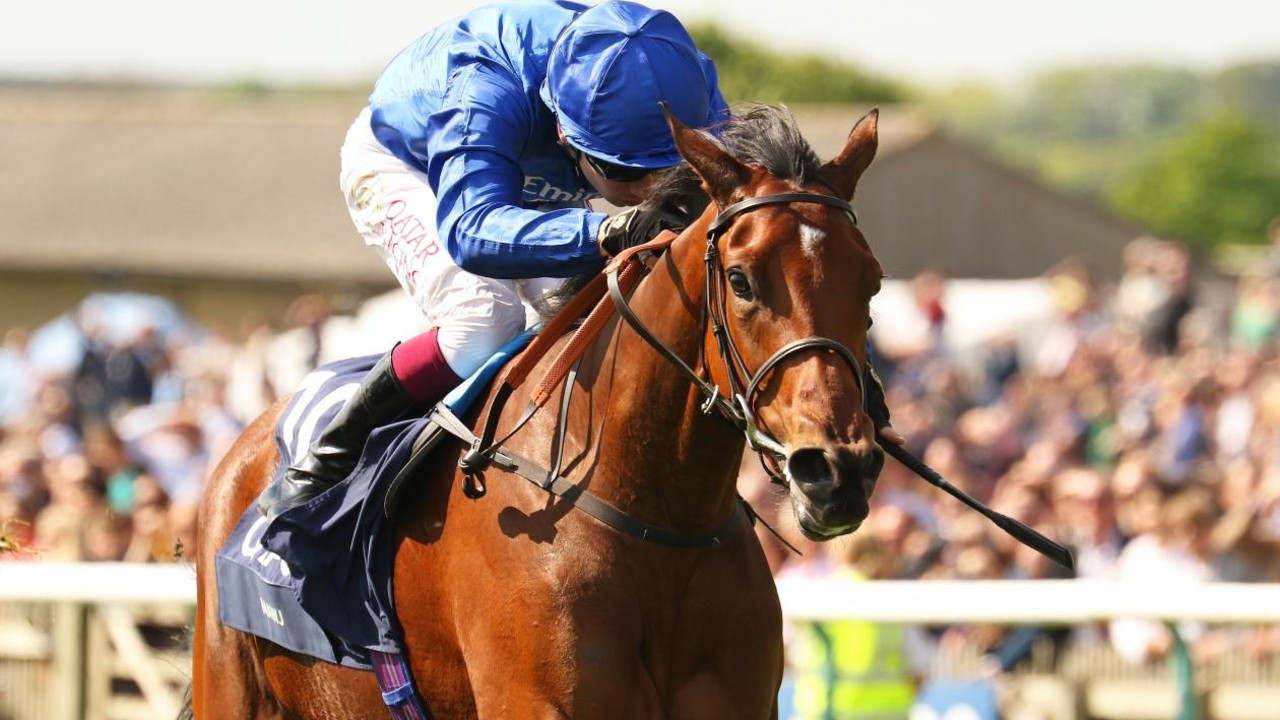 Could Mawj Conquer Breeders' Cup? Image 1