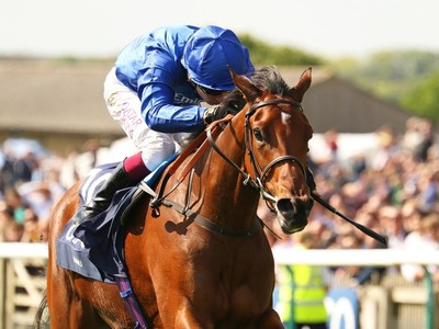 Could Mawj Conquer Breeders' Cup? Image 1