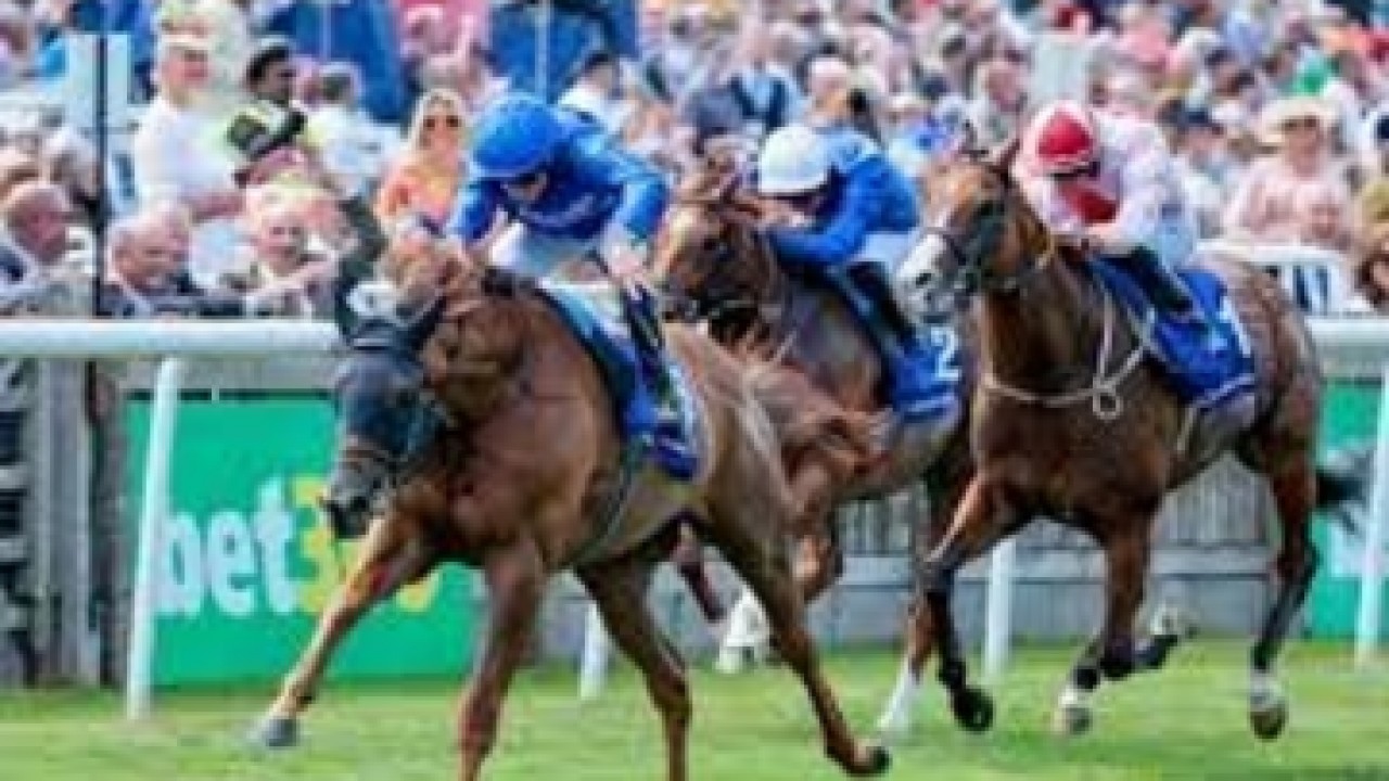 Adayar Returns To Royal Ascot Image 1