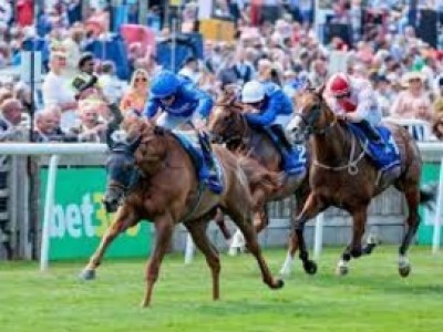 Adayar Returns To Royal Ascot Image 1