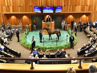 Skyrocketing Sales at Fasig-Tipton Image 1