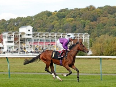 The Rising Star On St Leger's Horizon Image 1