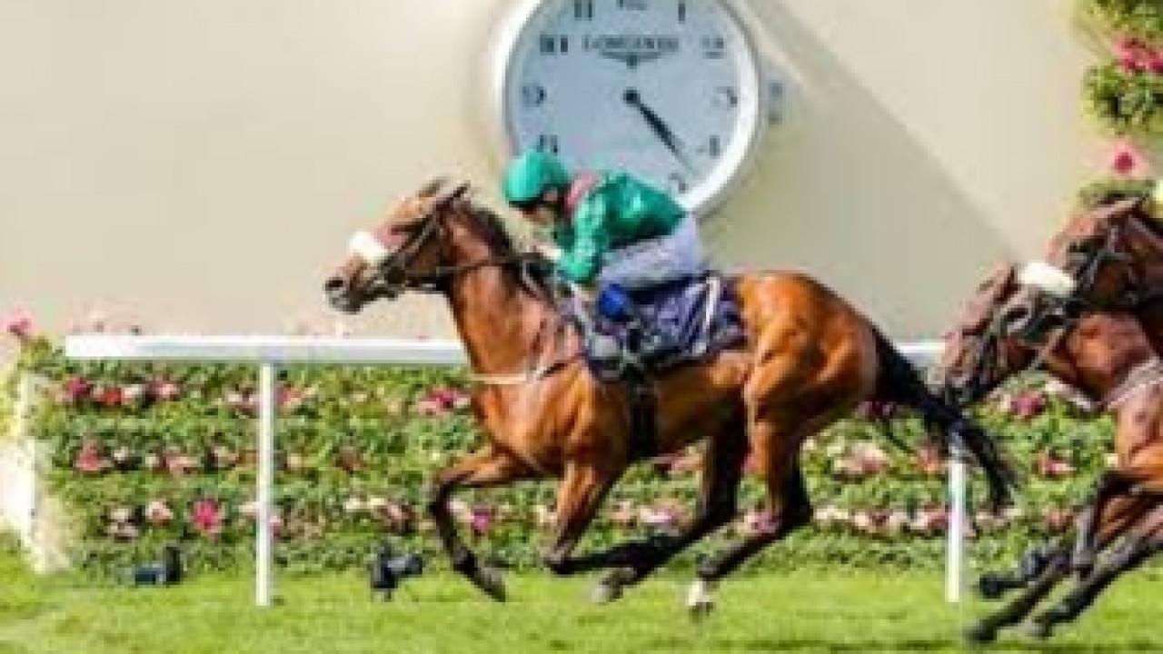 Tahiyra Targets Matron Stakes Image 1