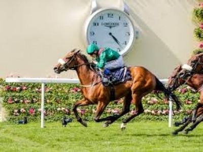 Tahiyra Targets Matron Stakes Image 1