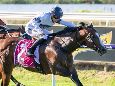 Chasing Spring Glory: Darby Racing's Dream Team Image 1