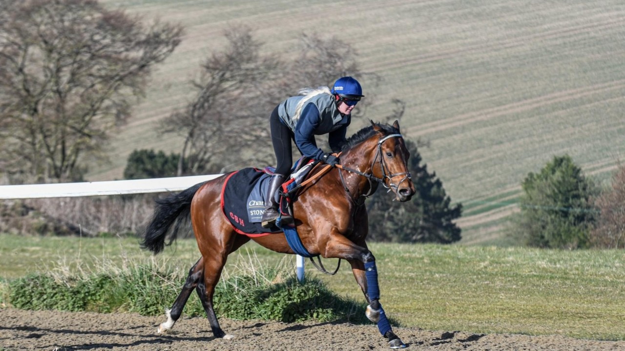 Equality Aims For Goodwood Glory Image 1