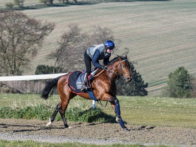 Equality Aims For Goodwood Glory Image 1