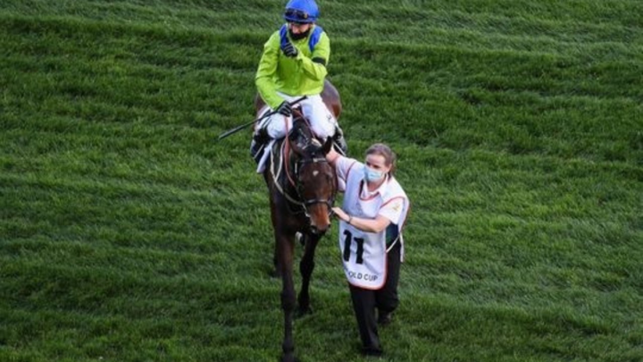 2021 Gold Cup Champion Bows Out: Subjectivist's Retirement Image 1