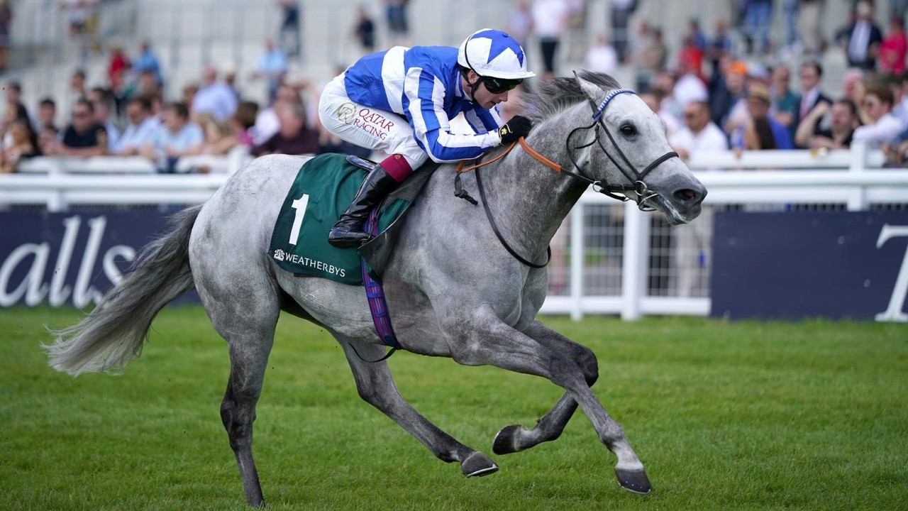 Art Power's Commanding Sapphire Victory Image 1